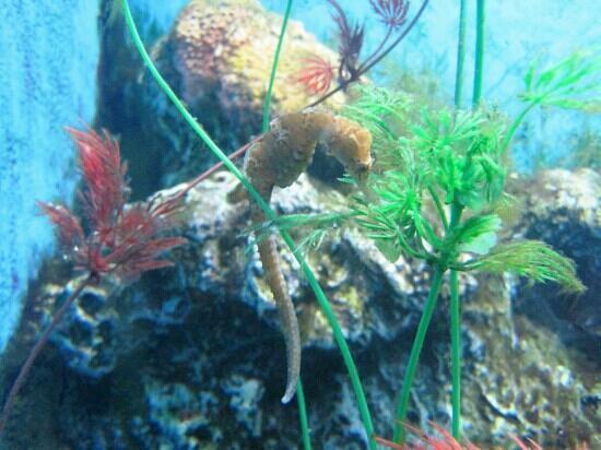 Tropical Ocean World